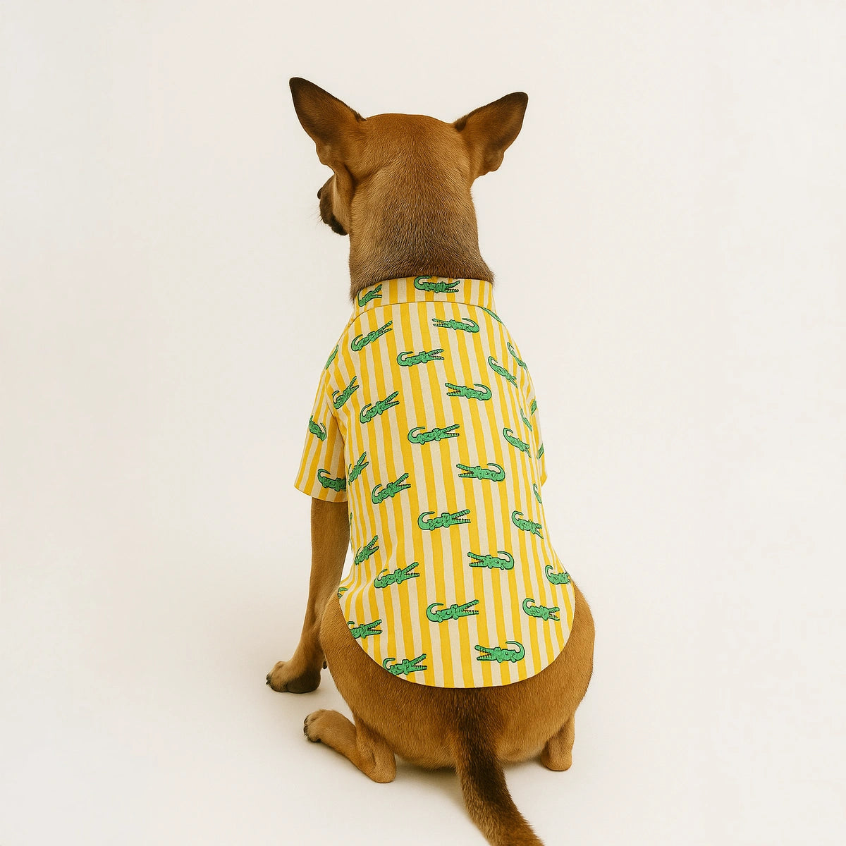 Thunder Tails Yellow Stripe Crocodile Casual Shirt