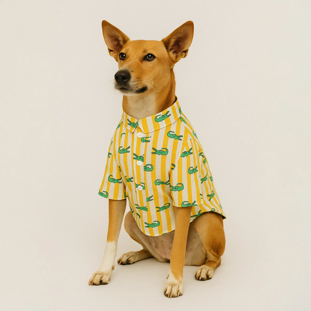 Thunder Tails Yellow Stripe Crocodile Casual Shirt