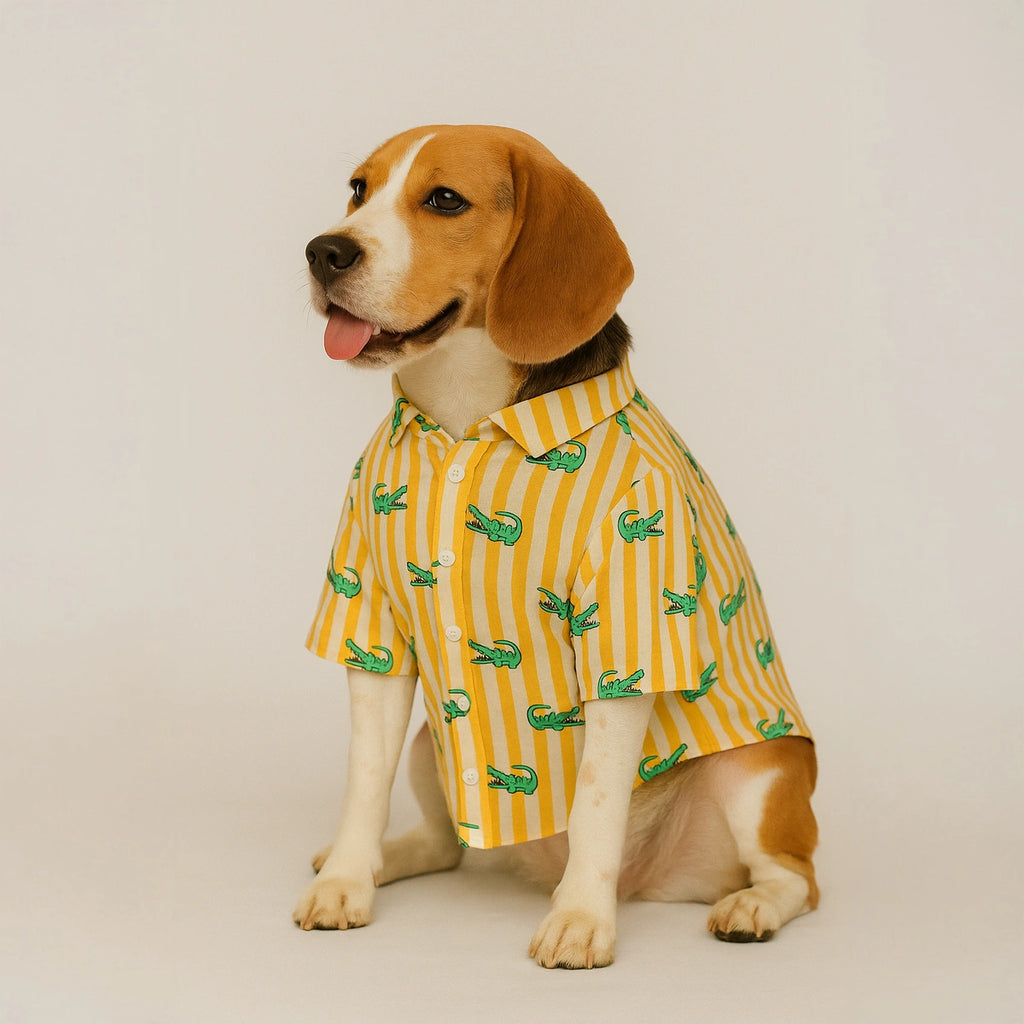 Thunder Tails Yellow Stripe Crocodile Casual Shirt