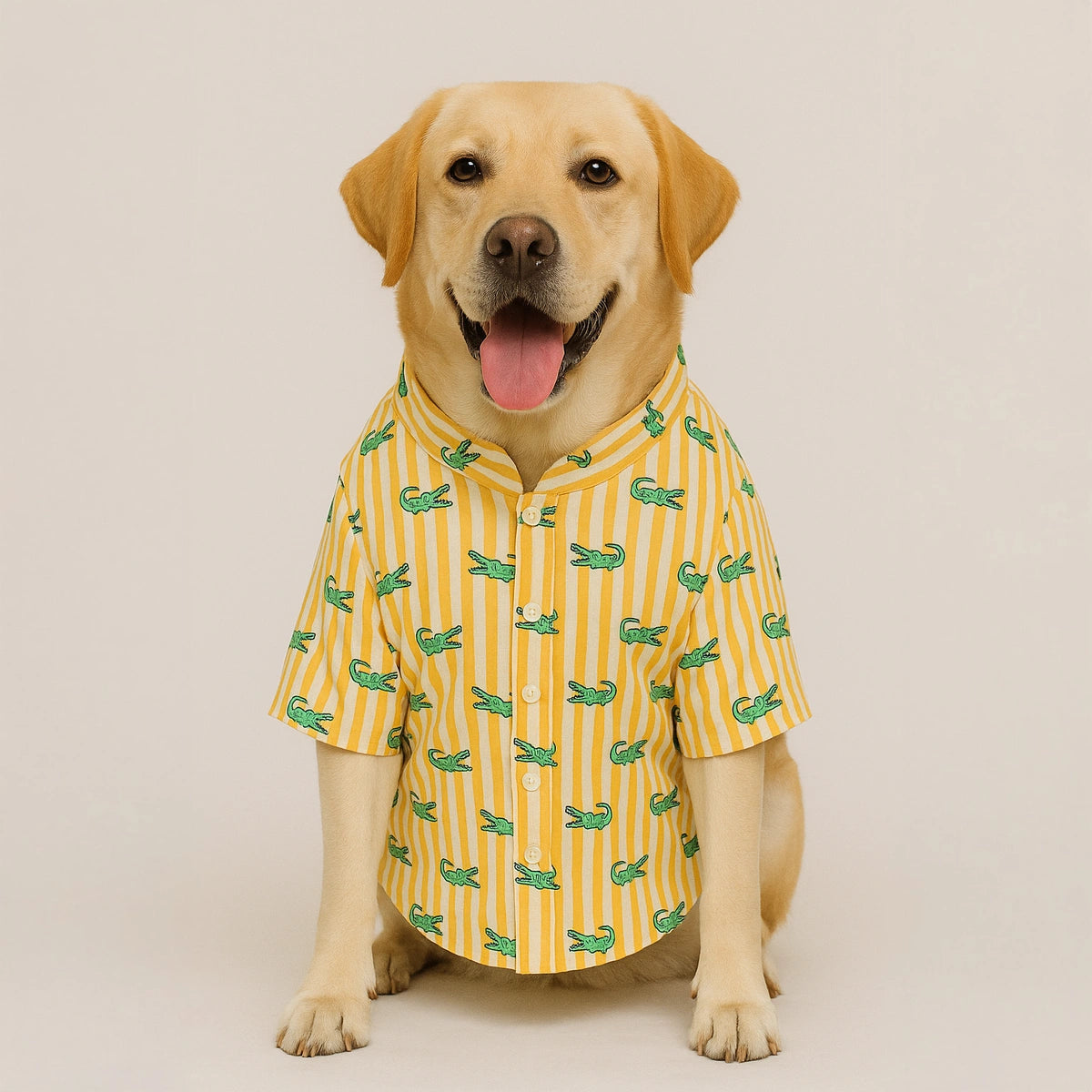 Thunder Tails Yellow Stripe Crocodile Casual Shirt