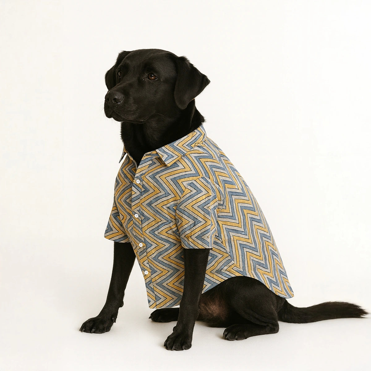 Thunder Tails Yellow Zig Zag Casual Shirt