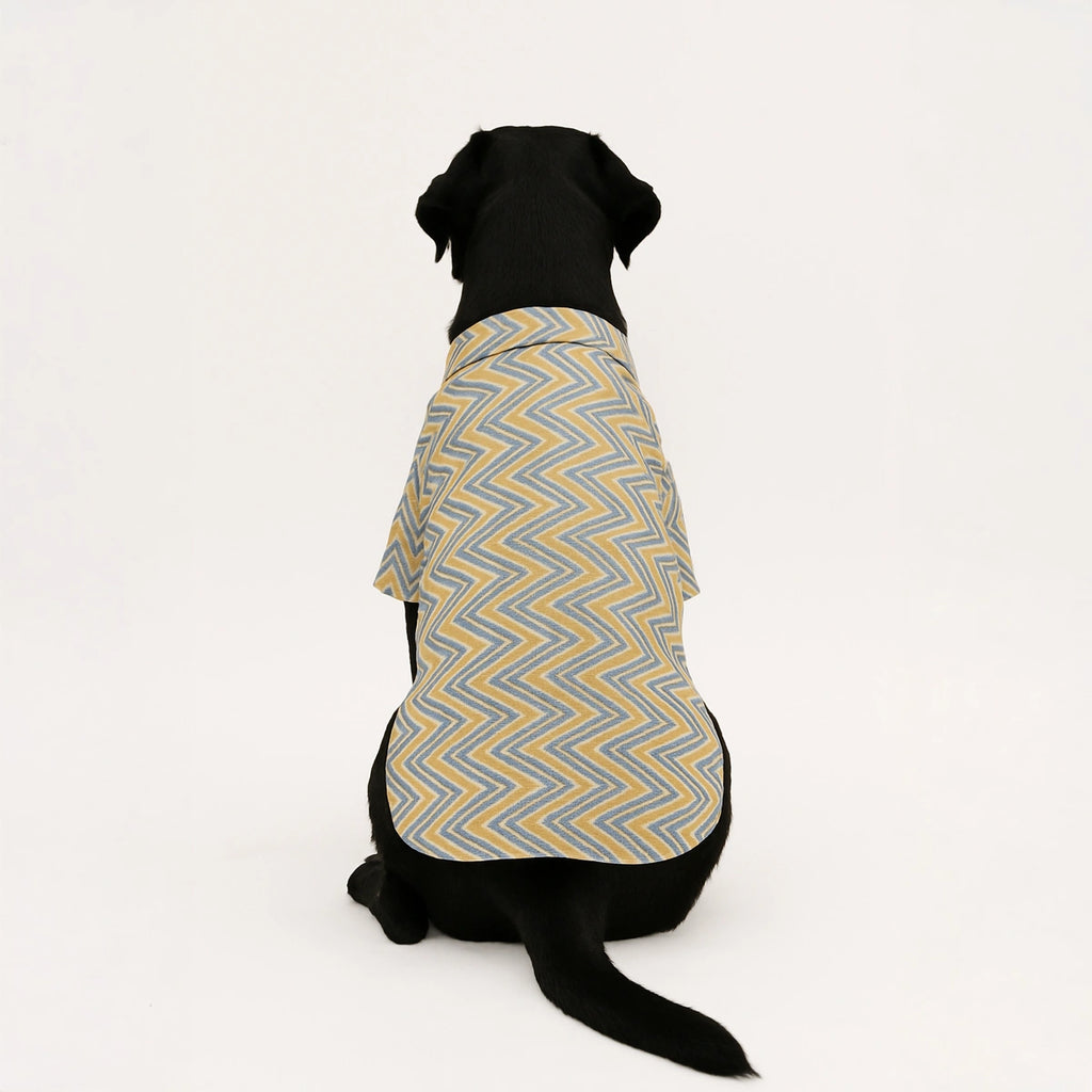 Thunder Tails Yellow Zig Zag Casual Shirt