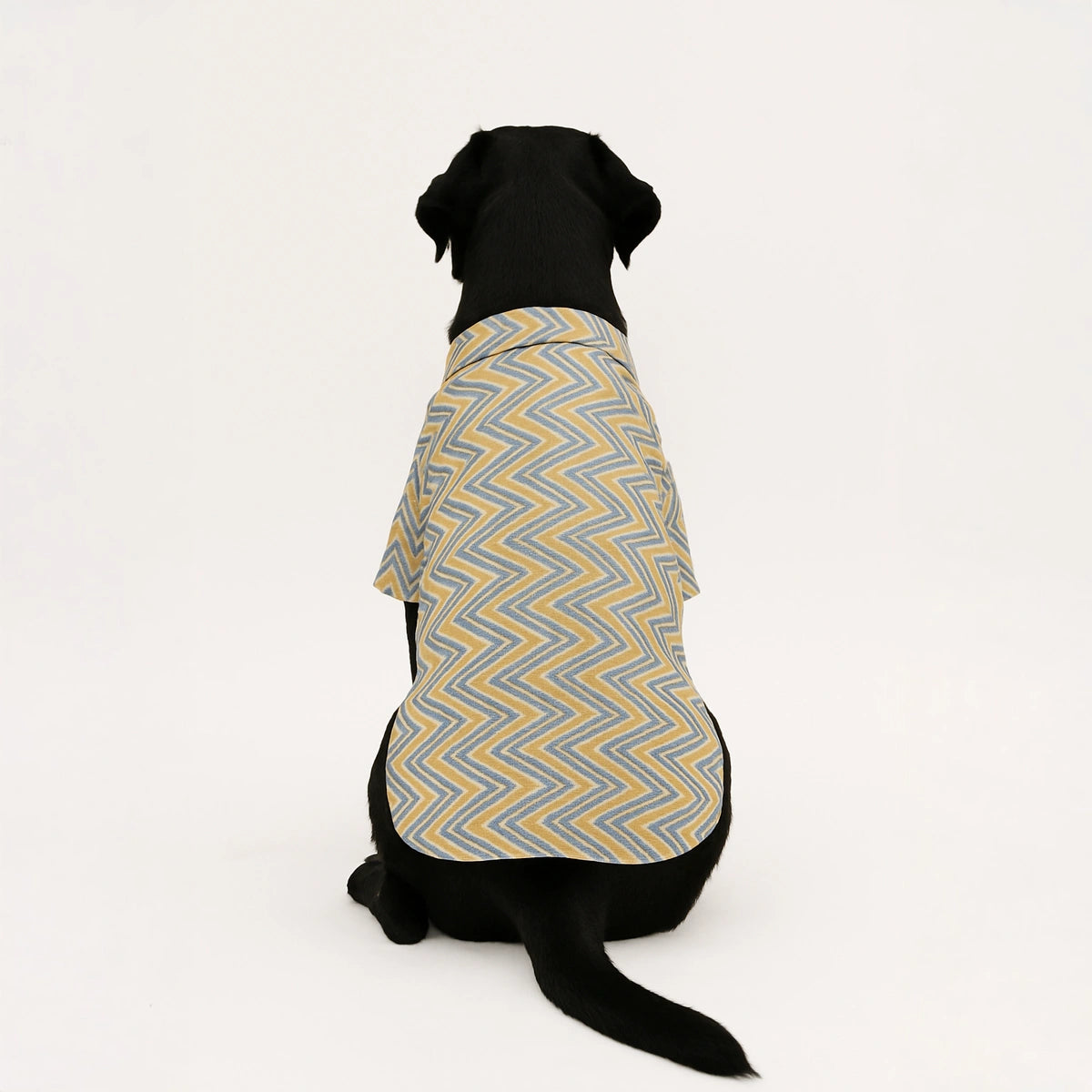 Thunder Tails Yellow Zig Zag Casual Shirt